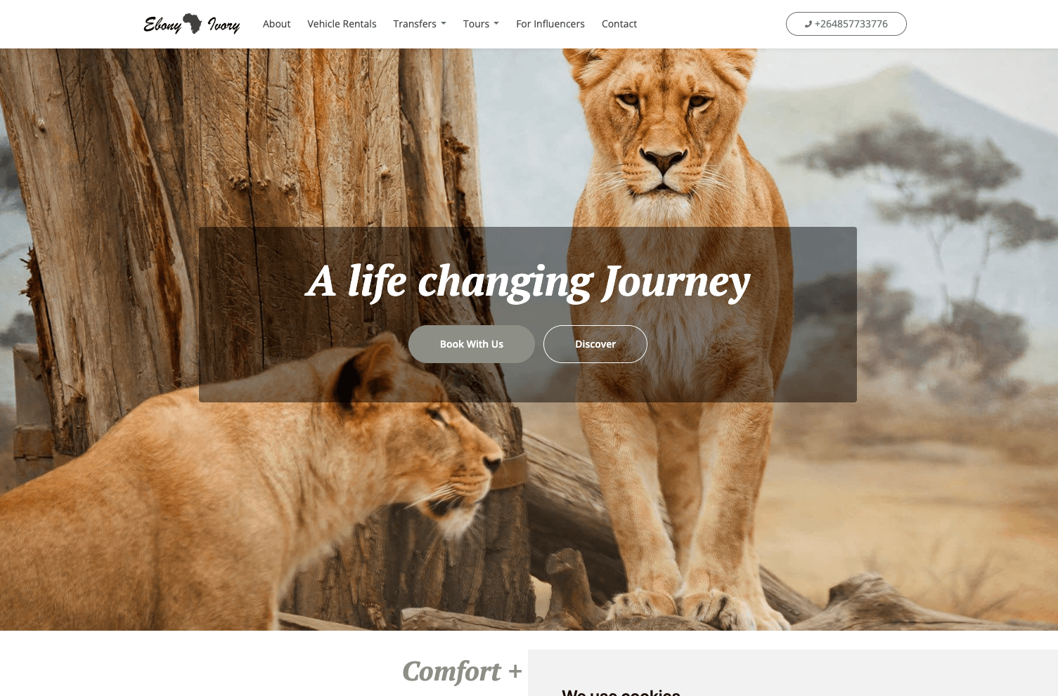 Screenshot of Ebony & Ivory project